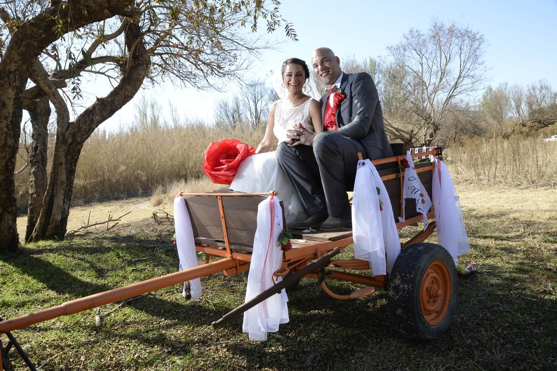 Weddings (14)
